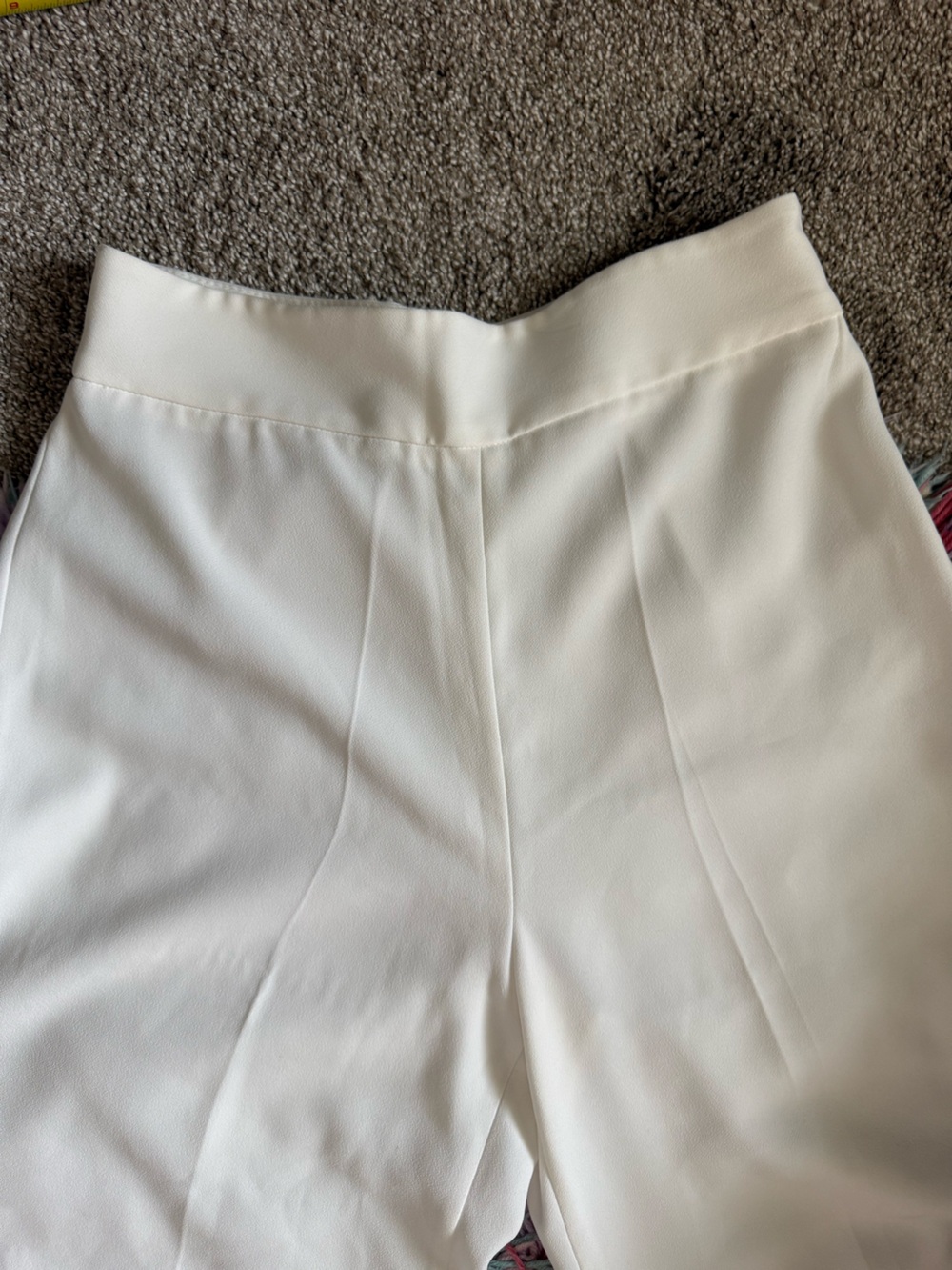 LOT OF 5  Pants Size M/6. ZARA, Zara Woman, Max Studio, GAP, Petal & Pup - Picture 9 of 16